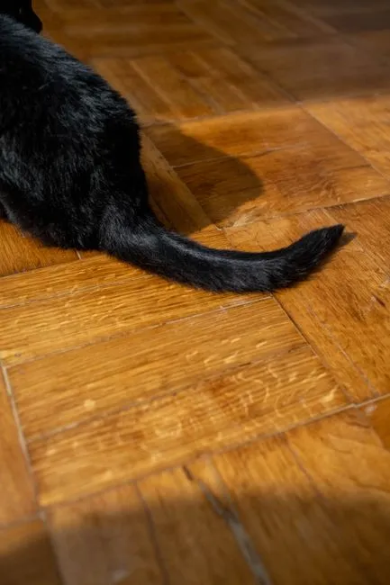 Cómo reparar el parquet rayado